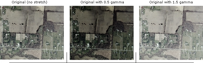 Gamma Gamma